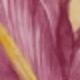 彩色