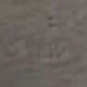 رمادي