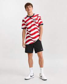 Nike 2026 USA National Team Home Fan Edition Dri-FIT Crew Neck Striped Quick-Dry Short-Sleeve Soccer Jersey For Men - 紅色 - 查看 5