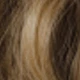 Brown Ombre