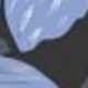 彩色