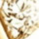 Golden Intertwined