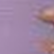 Lilac Purple