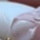 متعدد الألوان