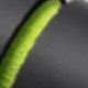 Black and Green