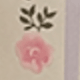 報春花