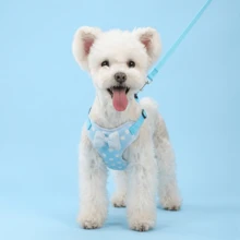 PETCHIC Conjunto de Arnés y Correa para Perros con Lunares Lindos - Chaleco para Cachorros sin Estrangulamiento con Lazo 3D, Arnés para Gatos de Malla Suave y Transpirable a Prueba de Escape, Conjunto para Pasear Mascotas Lavable a Máquina para Perros Pequeños y Medianos - Multicolor - Ver 5