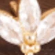 8PCS-gold