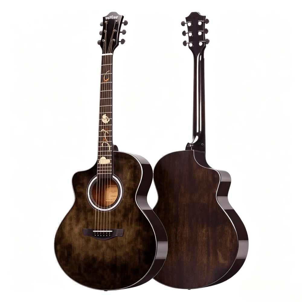 Stringed Musical Instruments - Glossy Veneer - Black Varnish - View 1