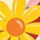 彩色