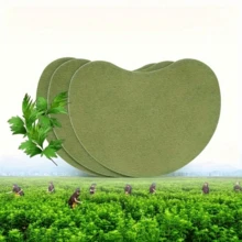 72/50/30/20/5 Self-Heating Ginger Warm Patches, Natural Heating Patches, Mugwort Warm Patches, Suitable For Shoulders, Neck, Hands, Back, Feet, Knees - 1 Piece Set - View 2
