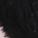 彩色