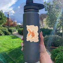 1pc/3pcs Funny Goldfish Text Stickers, Waterproof And Wear-Resistant, Cute Personalized Decorative Stickers, Suitable For Laptop, Water Bottle, Phone Case, Book, Desk Wall, Student Planner Material, DIY Decoration, Not Easy To Fall Off, Soft And Adorable - Vinyl - View 7