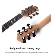 Instruments de Musique à Cordes - Placage brillant - Couleur bois naturel - Voir 5