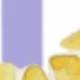 Purple and White Striped Lemon