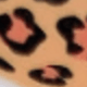 彩色