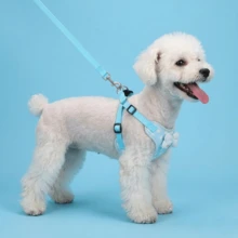 PETCHIC Conjunto de Arnés y Correa para Perros con Lunares Lindos - Chaleco para Cachorros sin Estrangulamiento con Lazo 3D, Arnés para Gatos de Malla Suave y Transpirable a Prueba de Escape, Conjunto para Pasear Mascotas Lavable a Máquina para Perros Pequeños y Medianos - Multicolor - Ver 7
