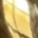 金色
