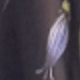 彩色