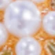 زهرة اللؤلؤ