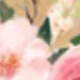 彩色