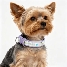 Bequemes gepolstertes Haustierhalsband, Hundehalsband mit doppeltem D-Ring, geeignet für kleine und mittlere Hunde. Bequemes Neoprenfutter, weiche Textur und angenehmer Griff, keine Abnutzung des Fells; langanhaltend Polyesterband; doppelte D-Ringe verteilen die Spannung, können größeren Zugkräften standhalten ohne zu brechen - Mauve - Übersicht 4