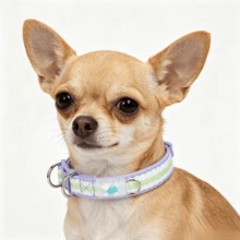 Bequemes gepolstertes Haustierhalsband, Hundehalsband mit doppeltem D-Ring, geeignet für kleine und mittlere Hunde. Bequemes Neoprenfutter, weiche Textur und angenehmer Griff, keine Abnutzung des Fells; langanhaltend Polyesterband; doppelte D-Ringe verteilen die Spannung, können größeren Zugkräften standhalten ohne zu brechen - Mauve - Übersicht 3