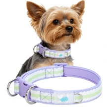 Bequemes gepolstertes Haustierhalsband, Hundehalsband mit doppeltem D-Ring, geeignet für kleine und mittlere Hunde. Bequemes Neoprenfutter, weiche Textur und angenehmer Griff, keine Abnutzung des Fells; langanhaltend Polyesterband; doppelte D-Ringe verteilen die Spannung, können größeren Zugkräften standhalten ohne zu brechen - Mauve - Übersicht 15