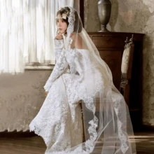 1pc Cathedral Lace Bridal Veil Single Layer, Comb Waist Length, Suitable For Waltz Wedding Photography Wedding Registration Photo Accessory - Milky White - View 3