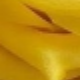 黃色
