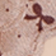 彩色
