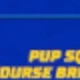 Pup Squad Racers