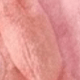 彩色