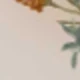 彩色