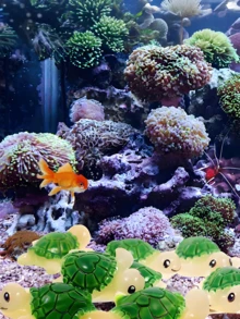 100/50/20/10/1個迷你綠色樹脂海龜，發光小型海洋動物擺飾，適合DIY仙女花園、盆栽植物裝飾、園藝裝飾、汽車內飾、派對與生日裝飾 - 彩色 - 查看 11