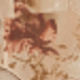 彩色