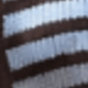 Rust Brown