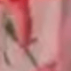 淺粉色