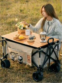 CAMEL CROWN Foldable Desktop, Outdoor Camping Storage Board, Can Be Used As Camping Car Tabletop, High Load-Bearing Carbon Steel Camping Table Board - Wood Grain Color - View 1