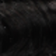 S1B
