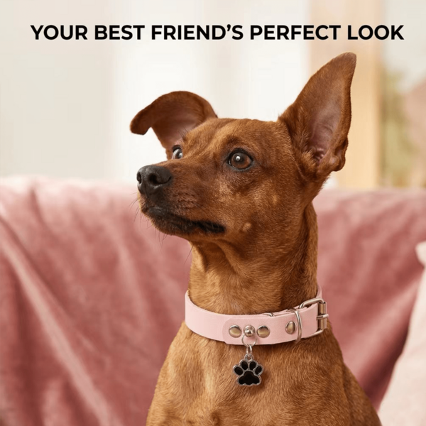 A Fashionable And Exquisite Paw Print Pendant Necklace, Suitable For Cats And Dogs, Also Suitable For Pets To Wear At Home Or Outdoors