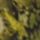 F217