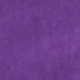 Bold Plum