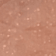 BB03