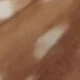 Deer Animal Print