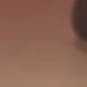 咖色