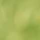 風格A