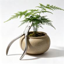 重型不鏽鋼鷹爪鉗，一體鍛造，耐用且內置彈簧方便使用，輕鬆剪斷厚指甲，居家足部與手部護理必備，1/2件可選 - 死皮鉗 - 查看 7