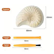 Conch And Shell Kids Archaeology Dig Kit DIY Gemstone Treasure Hunt Box Educational STEM Craft Toy Ocean Theme Adventure Game Birthday Party Favors Gift For Boys Girls Age 3+ - Multicolor - View 10