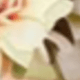 花環+ 1個手環